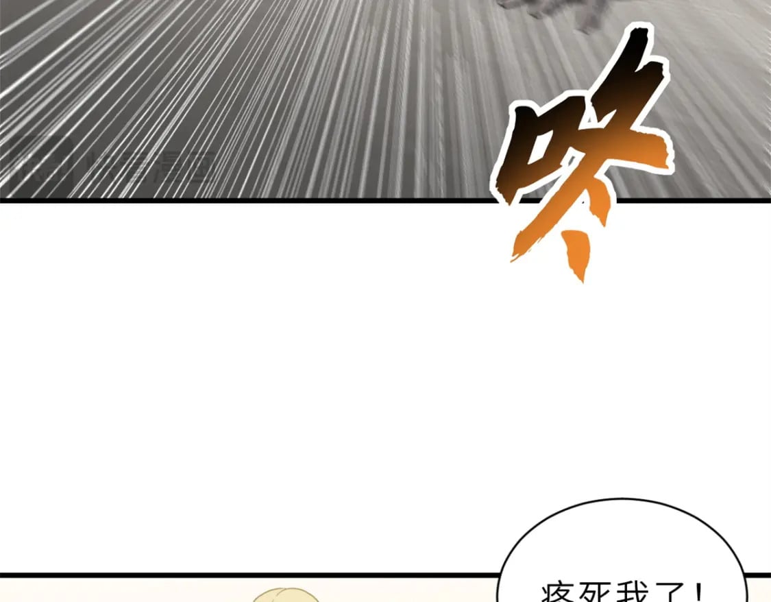 116 斗兽123