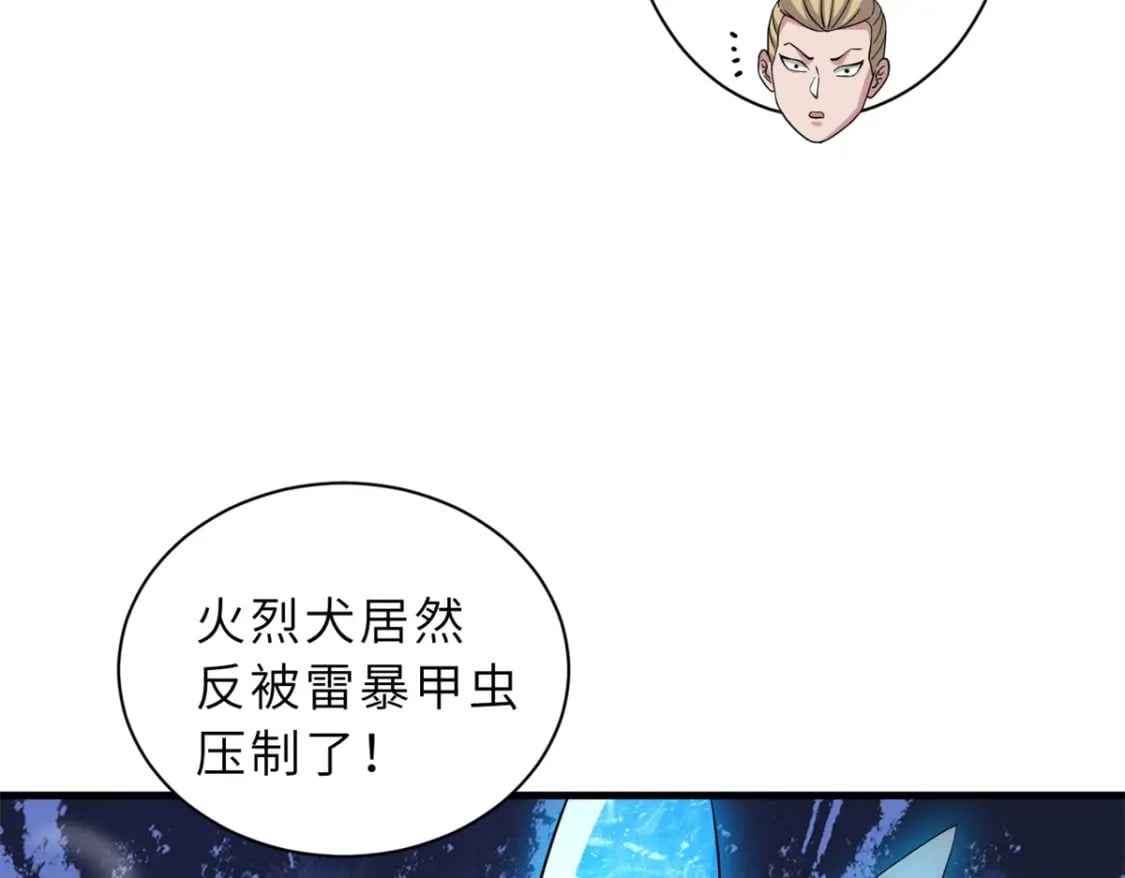 116 斗兽102