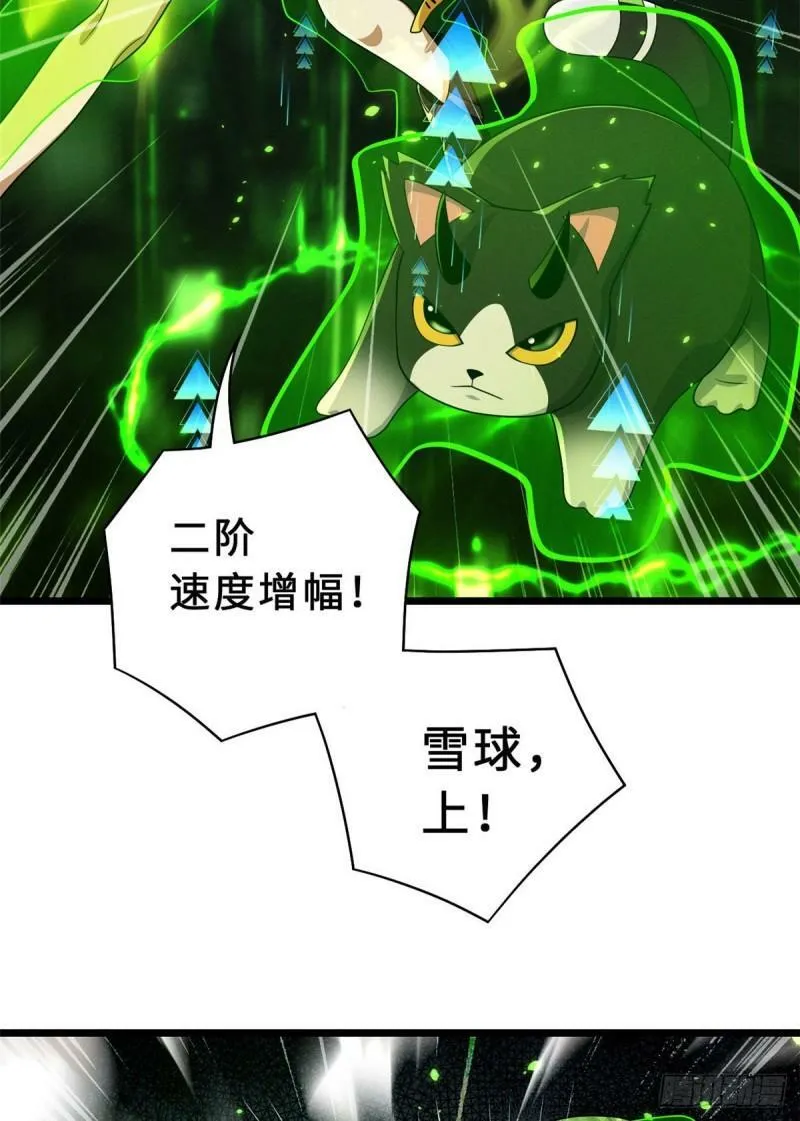 29 你不会嫌贵吧？37