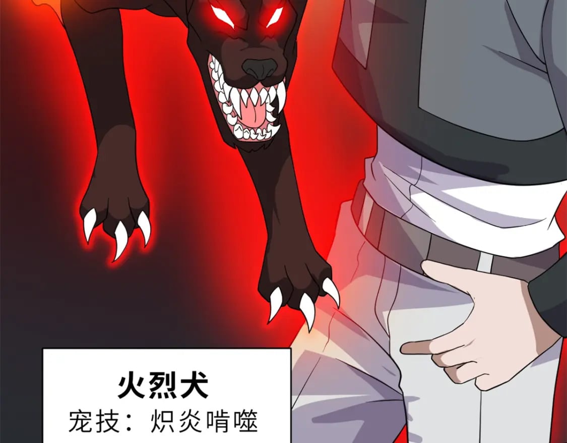 116 斗兽41