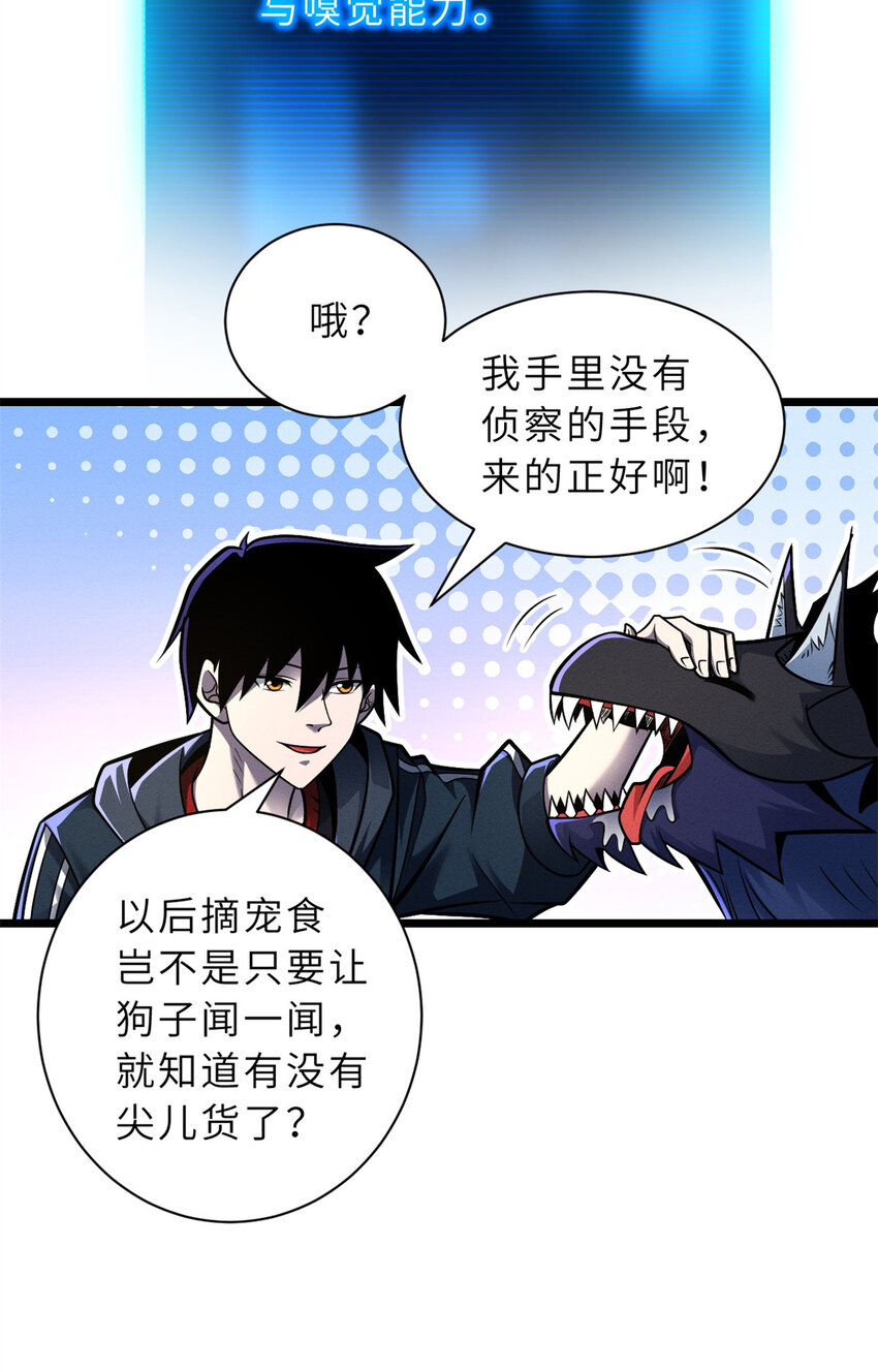 50 神魔战法到手10