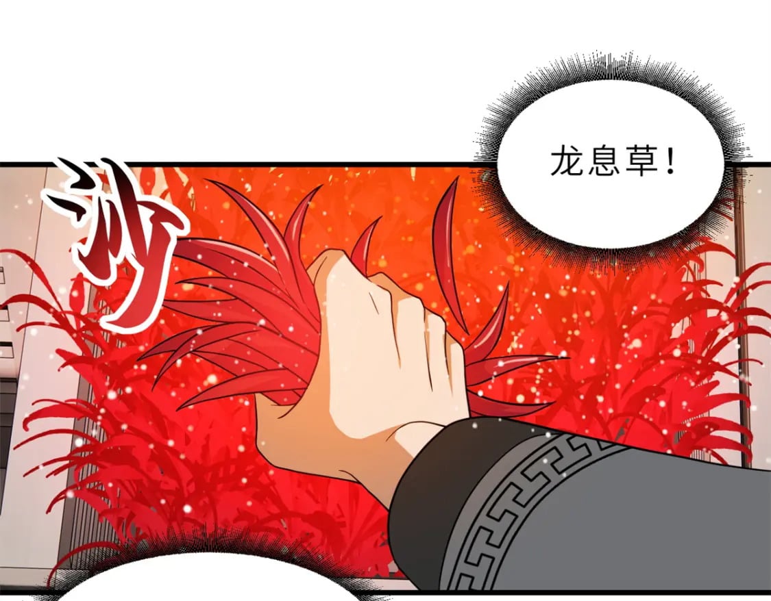 116 斗兽78