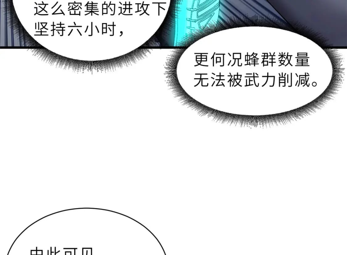 79 正式开赛113