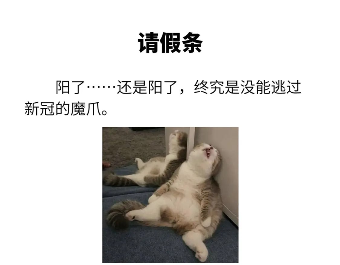 95 誓死效忠152
