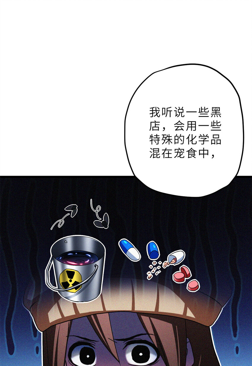 08 小淘气宠兽店54