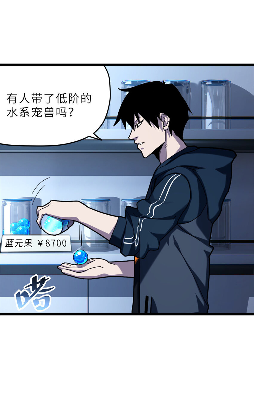 09 战宠师苏平！24