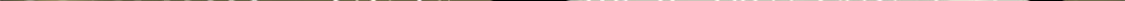 109 传承竞选开始124
