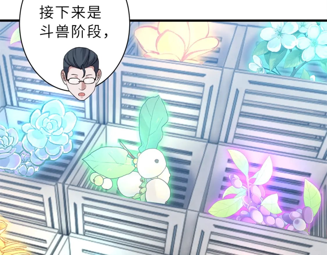 116 斗兽75