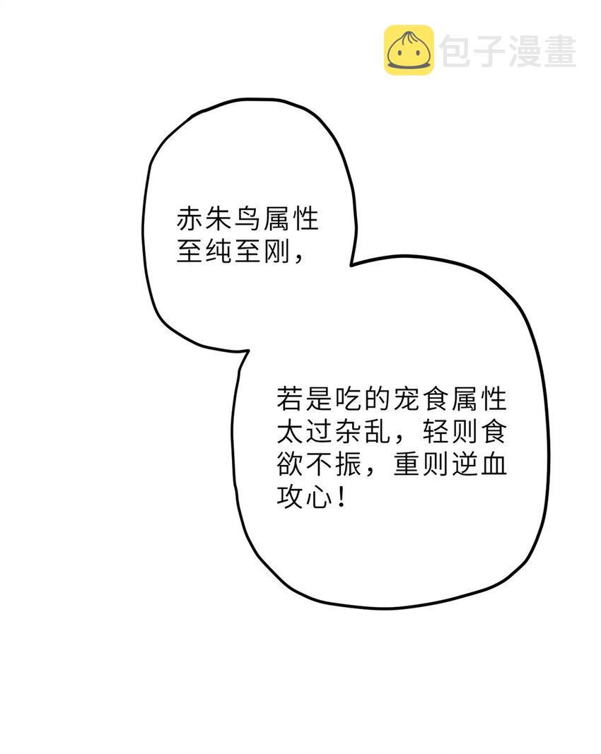 08 小淘气宠兽店48