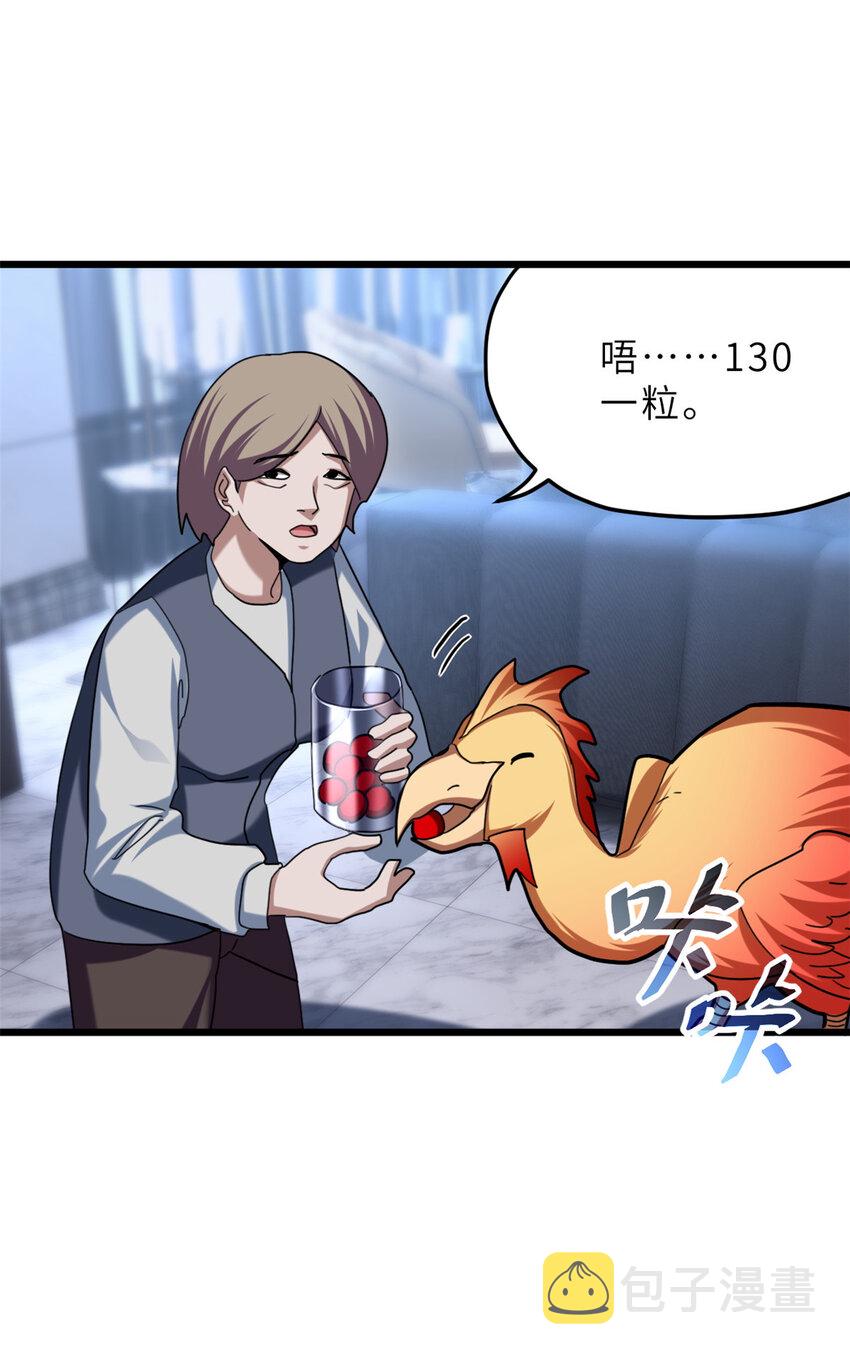 08 小淘气宠兽店52