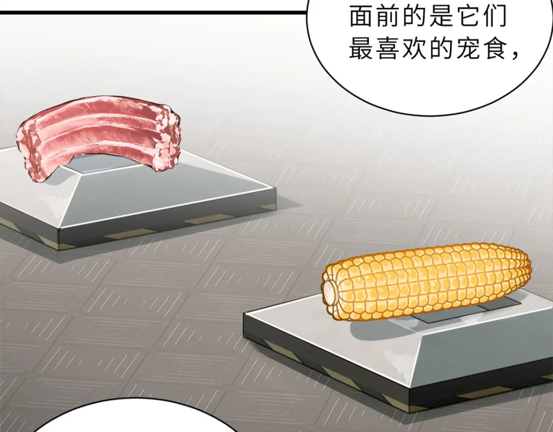 116 斗兽49