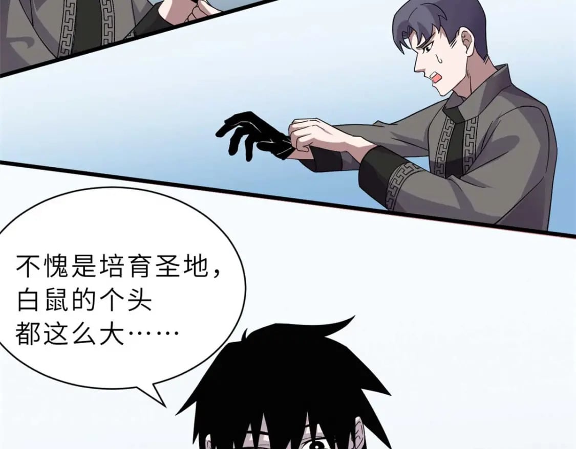 118 考核82