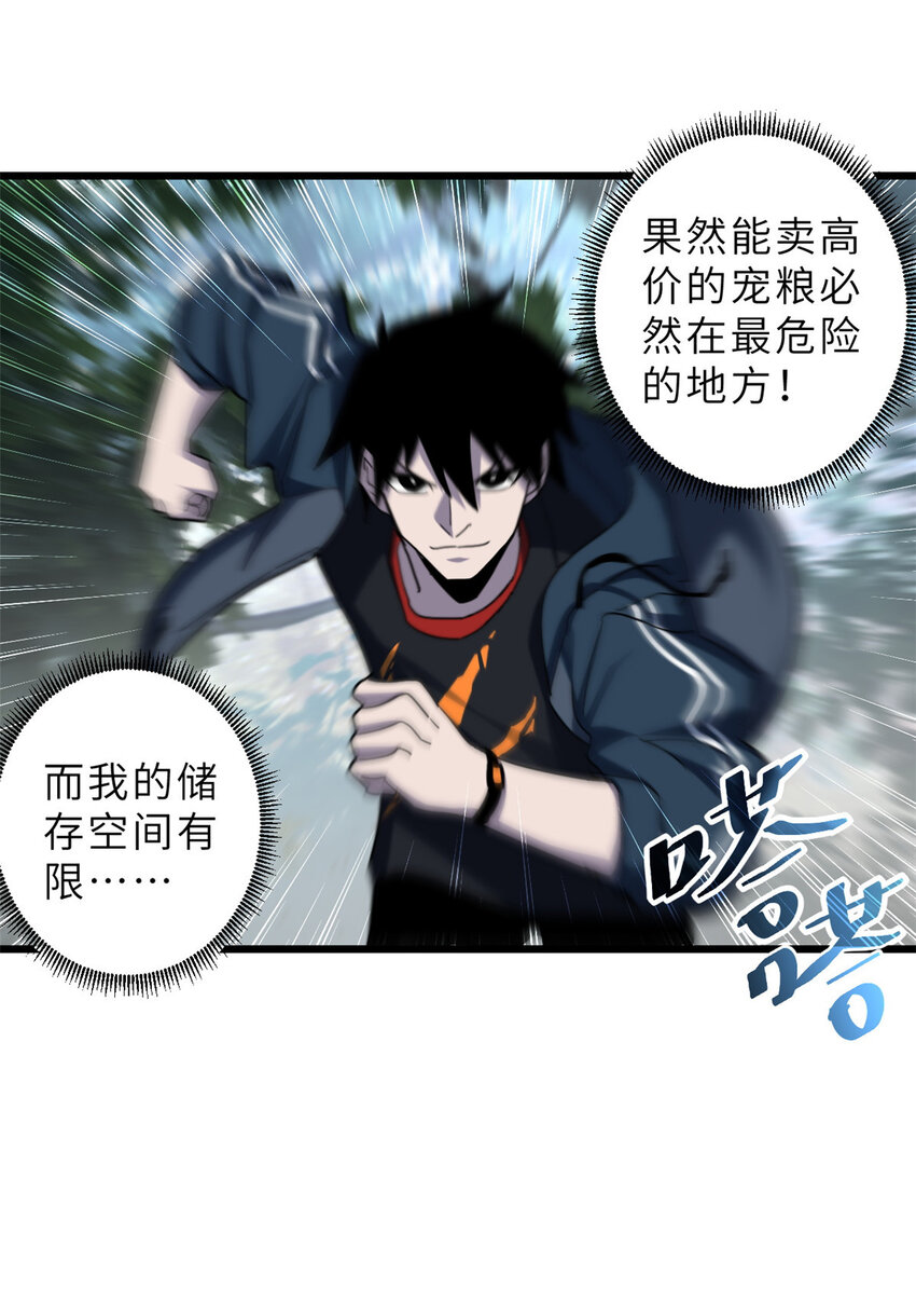 08 小淘气宠兽店18