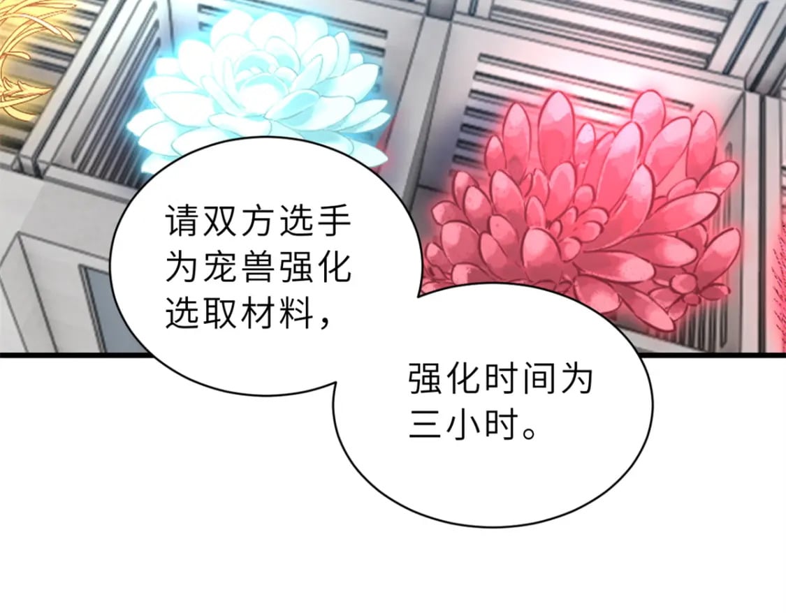 116 斗兽76