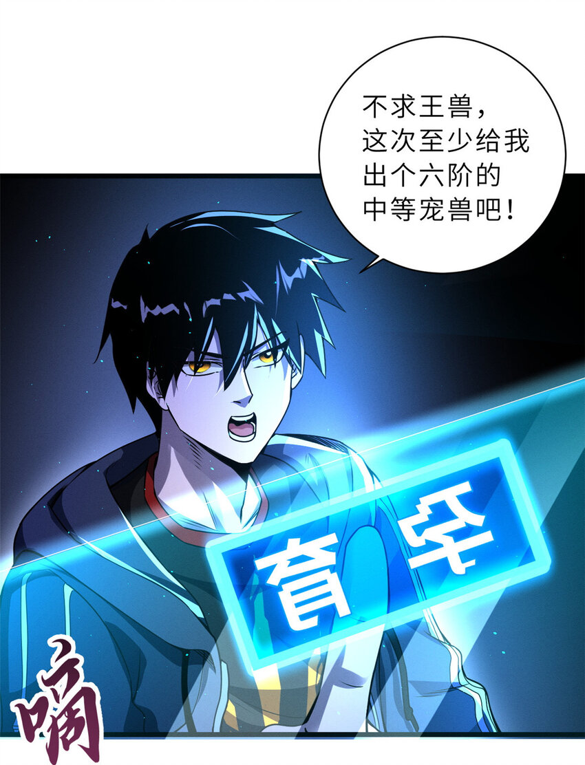 35 第二只星宠，孕育！42