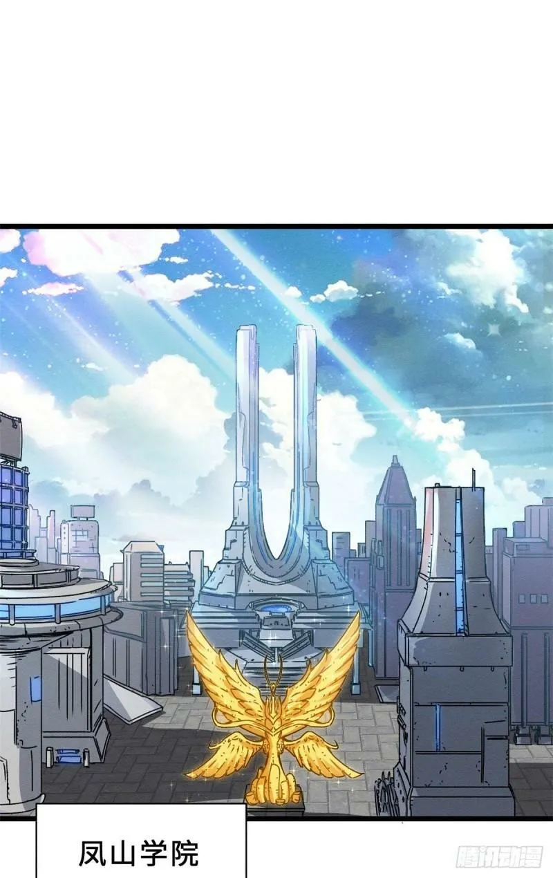 29 你不会嫌贵吧？1