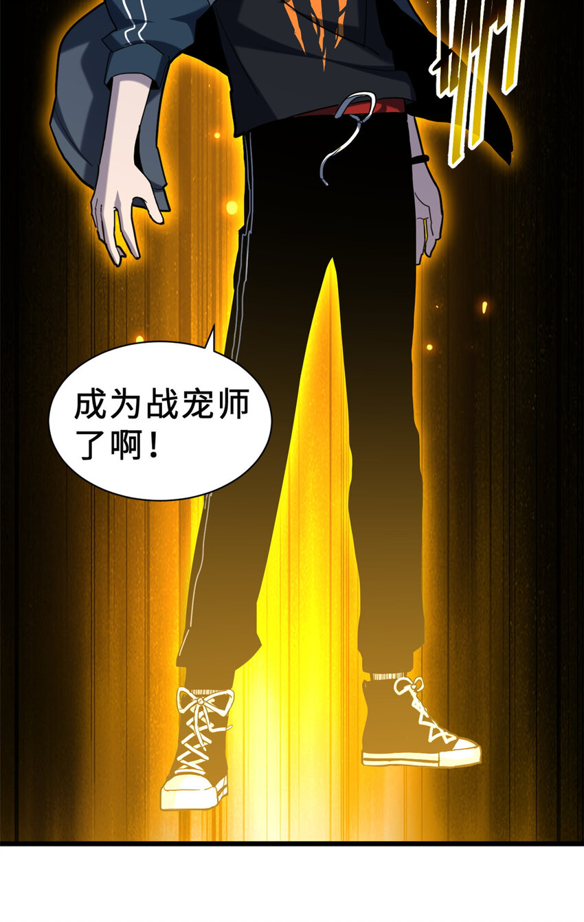 09 战宠师苏平！67