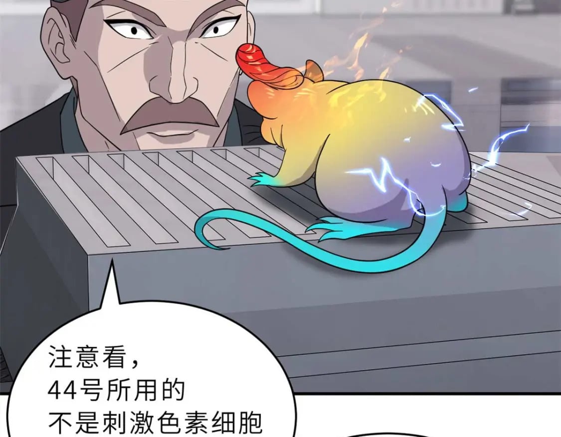 118 考核133