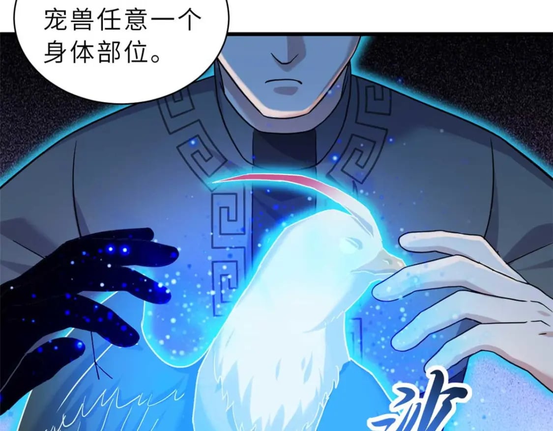115 出头111