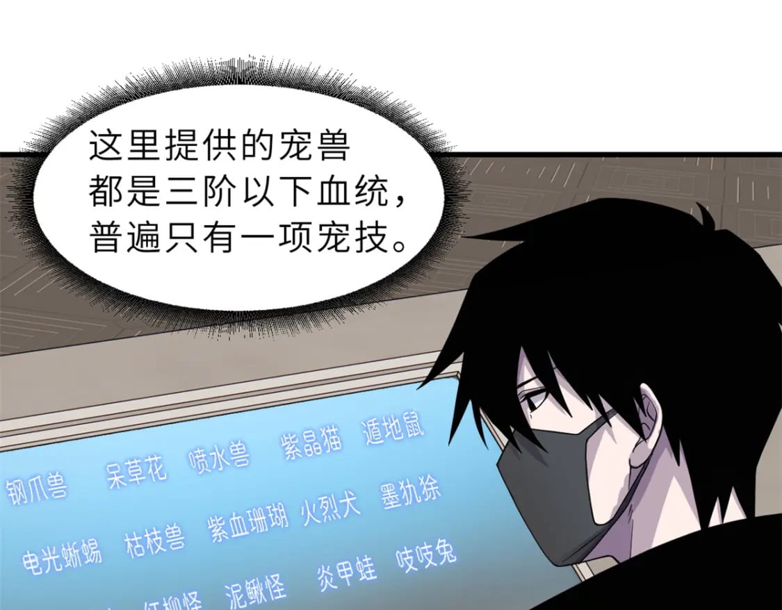 116 斗兽34