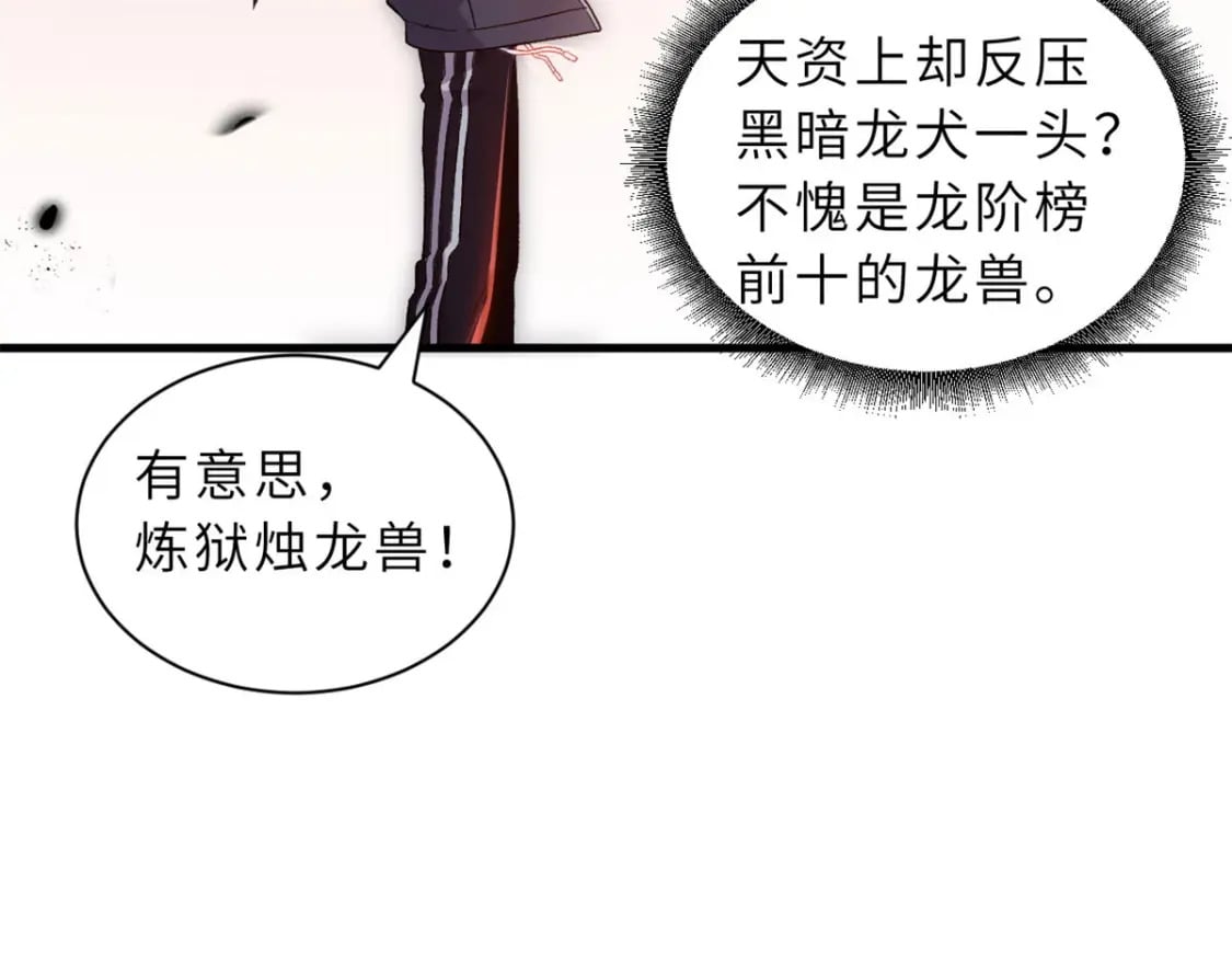 88 挨打我们是专业的27