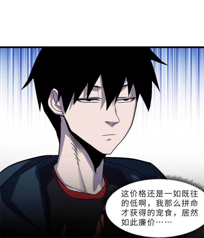 09 战宠师苏平！48