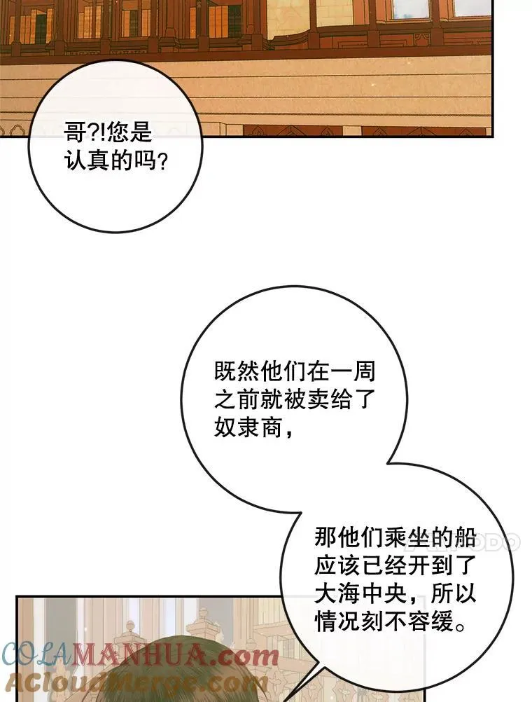 79.解救泰德12