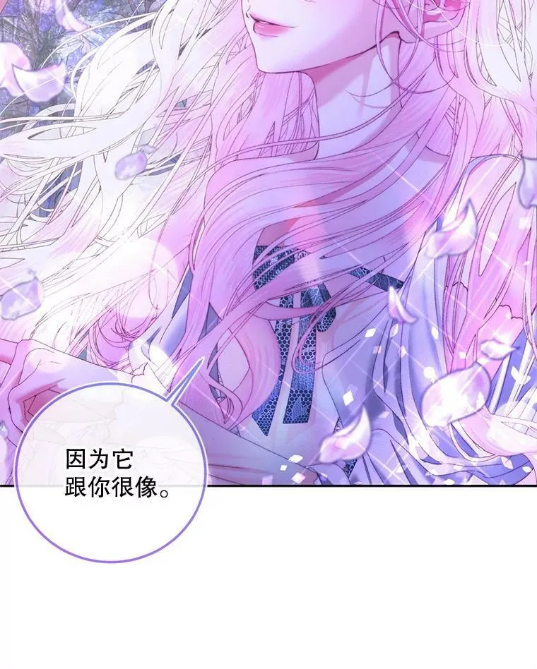 57.夏托伯爵之死45