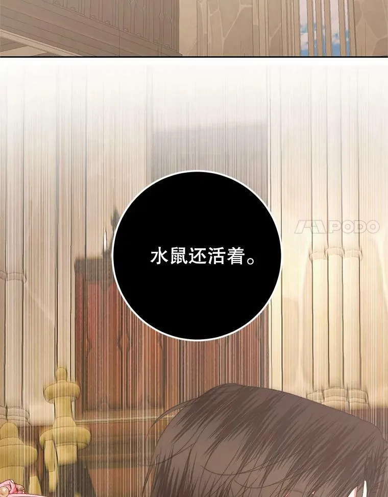 65.水鼠87