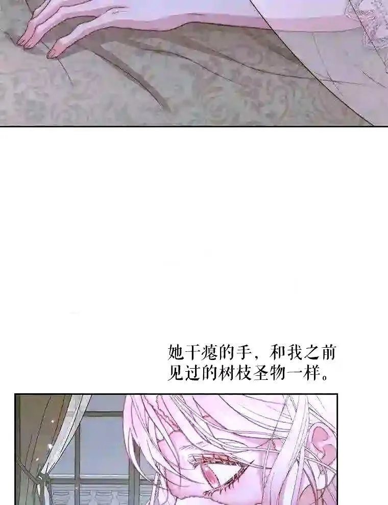 34.春之精灵58
