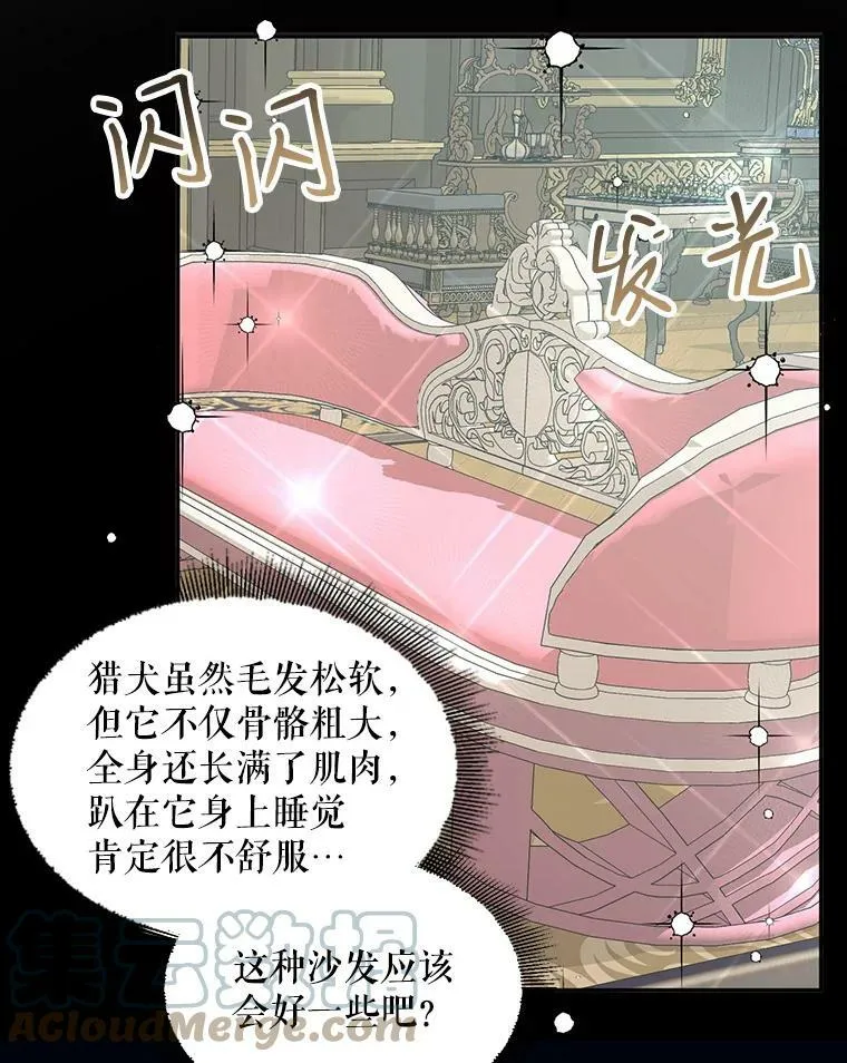 16.宠爱8