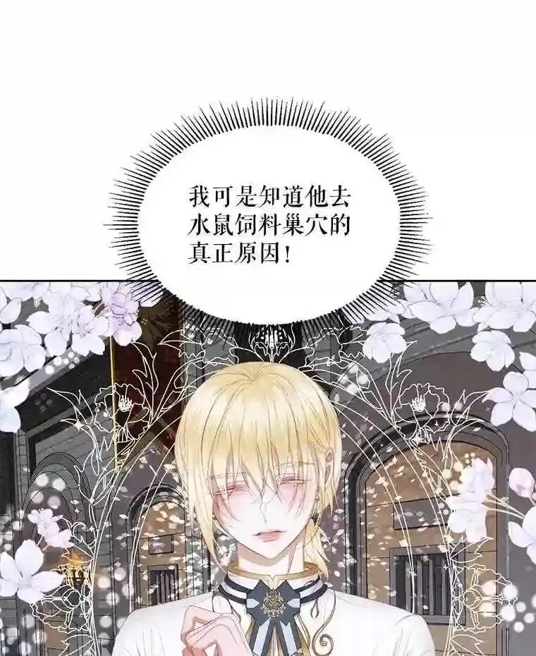 29.文森特的秘密5