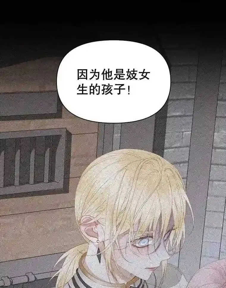 29.文森特的秘密85