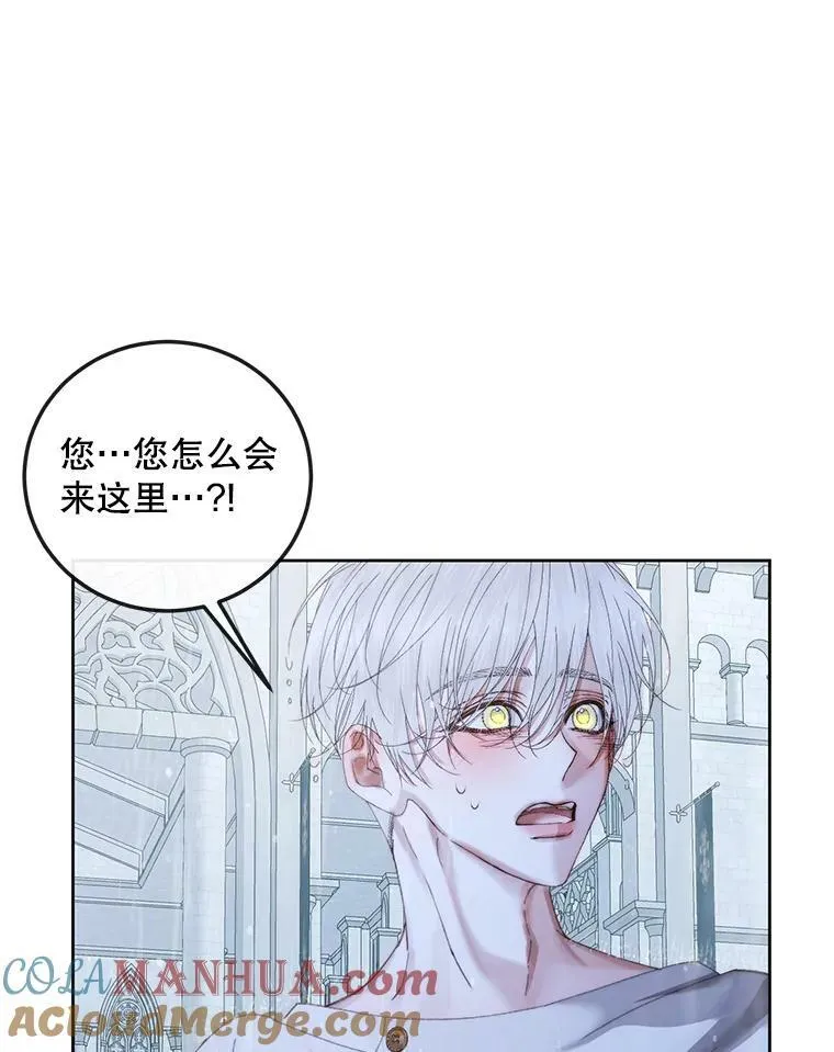 62.浮出水面的真相44