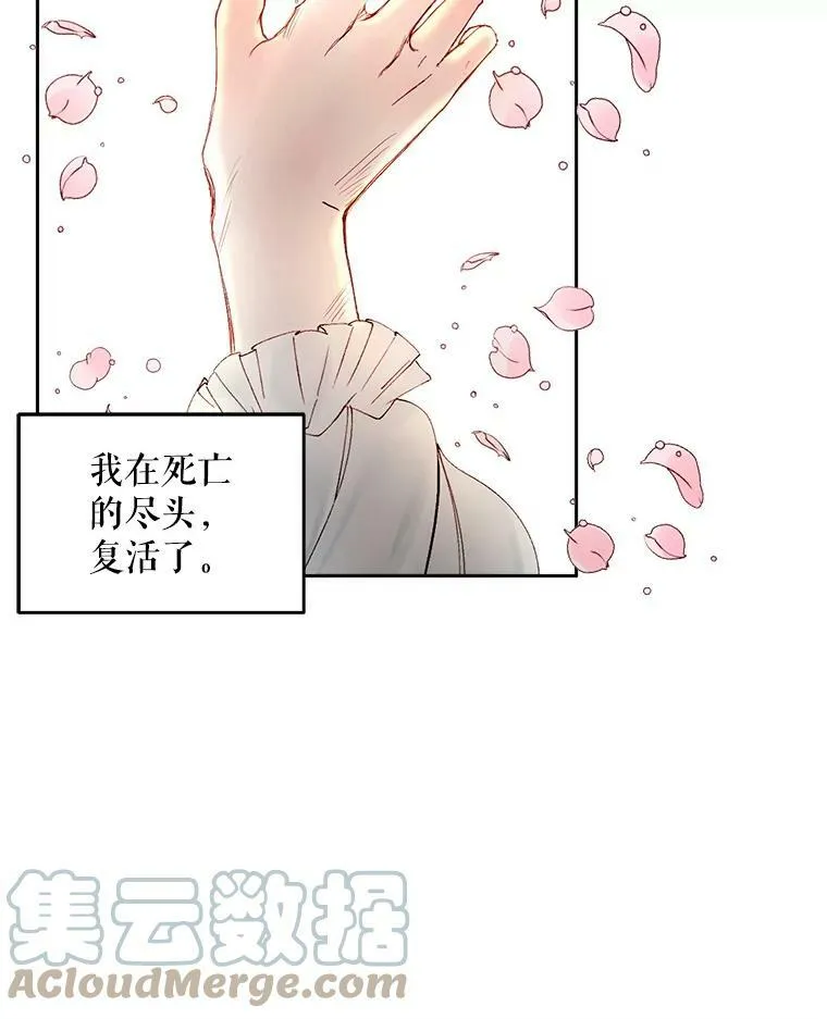 2.复仇84