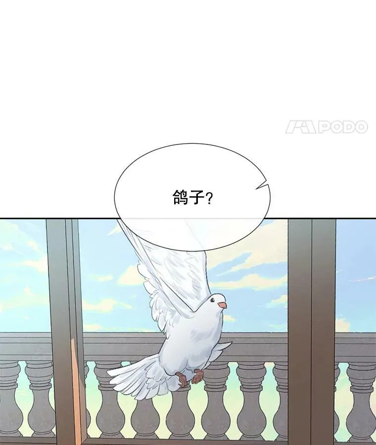 9.樱花树的重生78