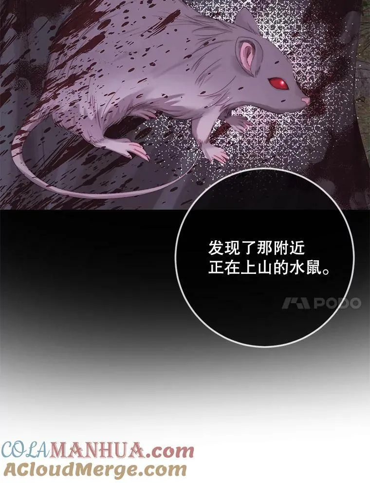 65.水鼠100