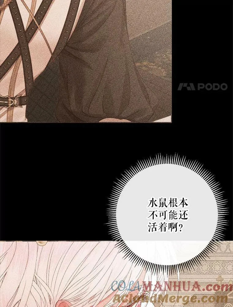 68.陷阱76