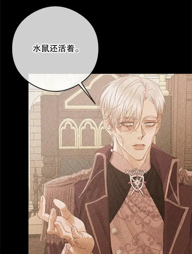 68.陷阱74