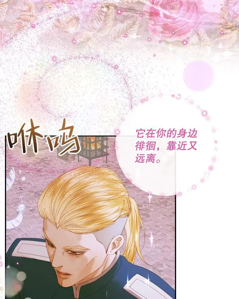 79.解救泰德87