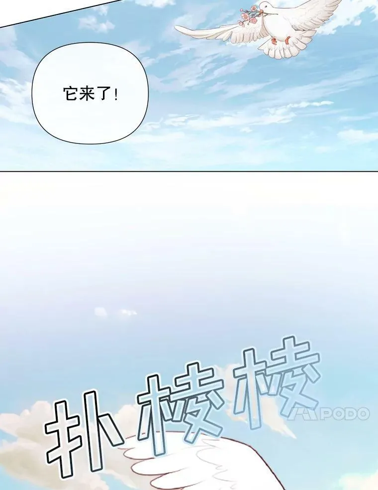 20.包扎9