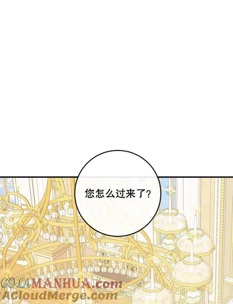 73.黎明81