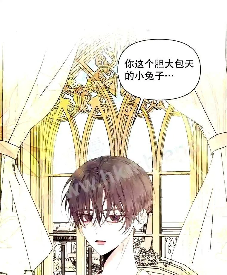 37.未来的夫人63