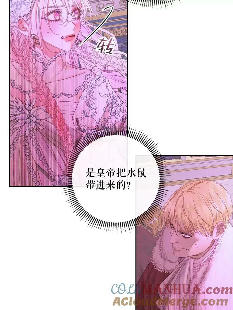 68.陷阱84