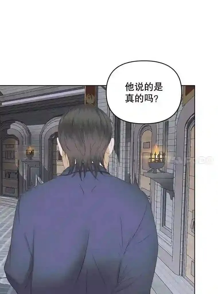 29.文森特的秘密44