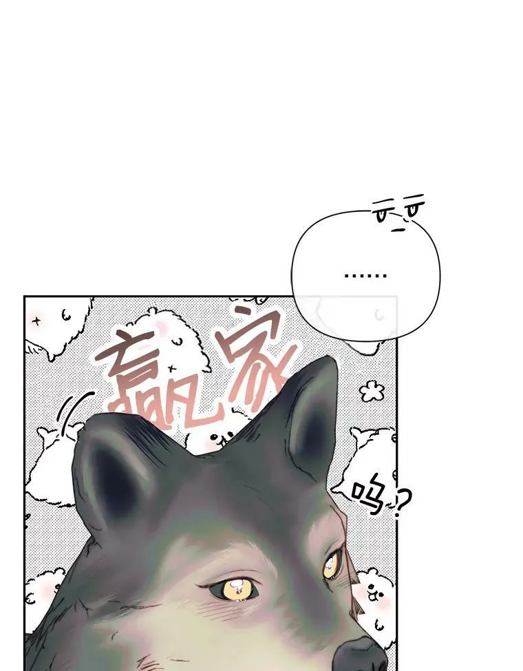 14.巴伦塔因的诅咒23