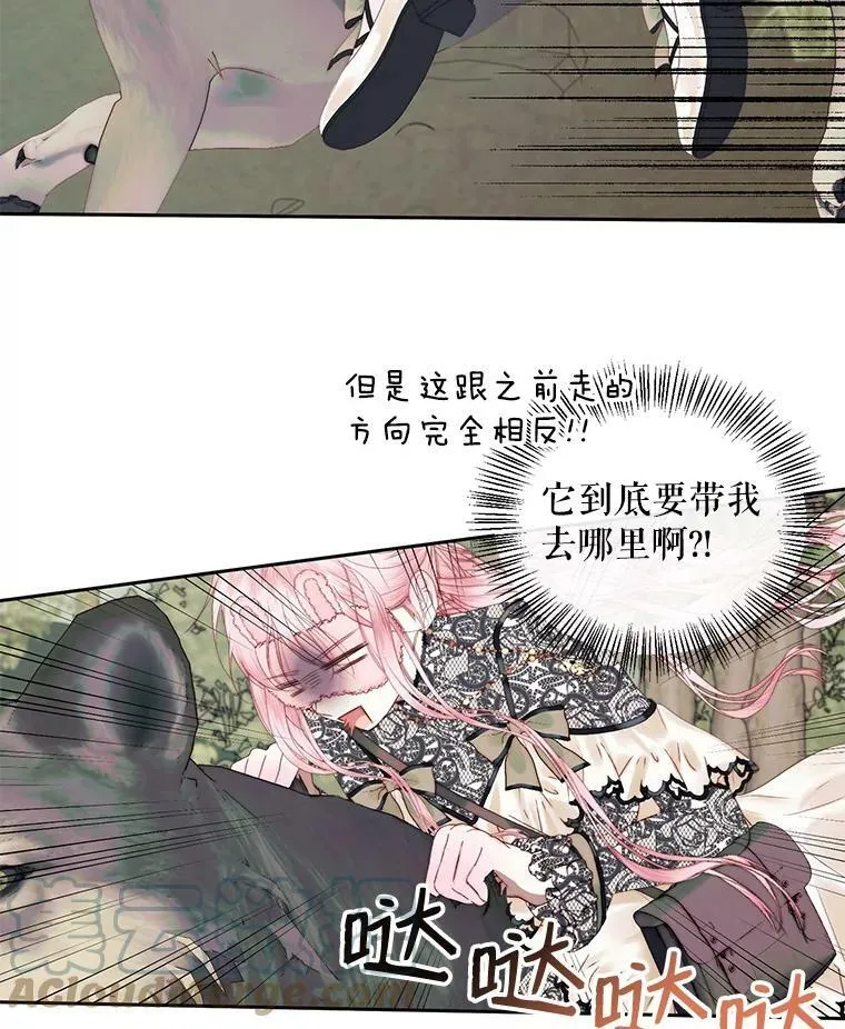 15.寄生虫16