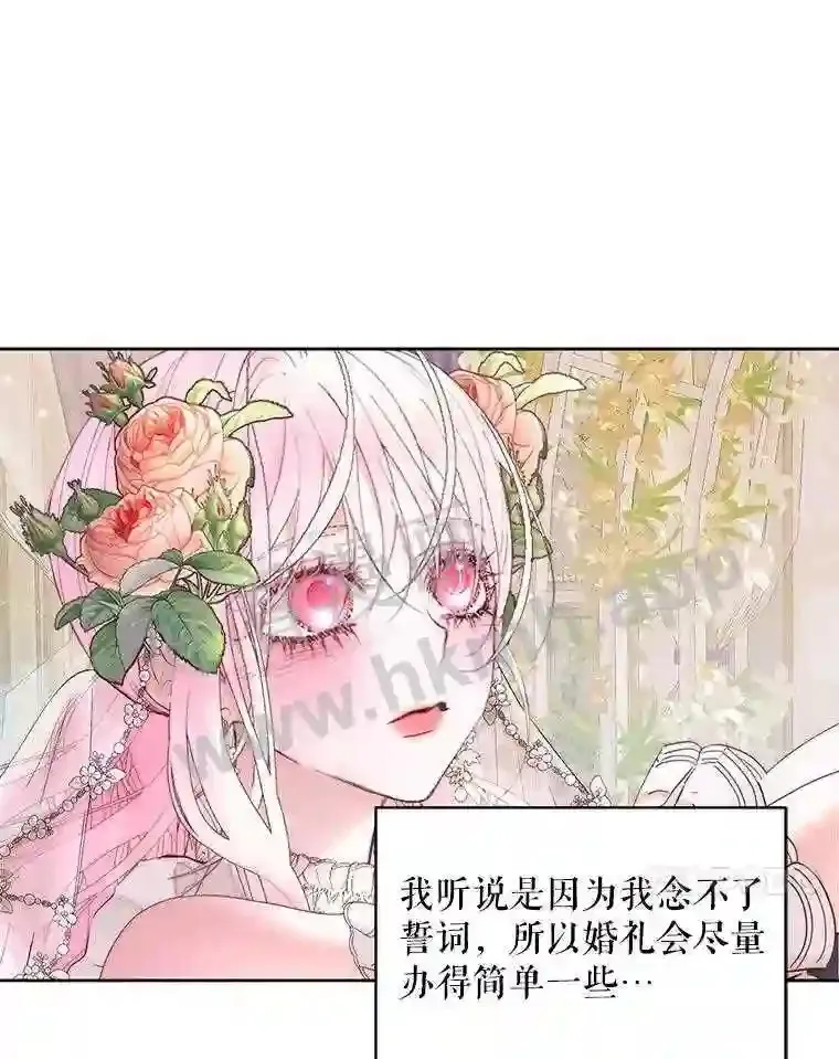 50.契约结婚 本季完28
