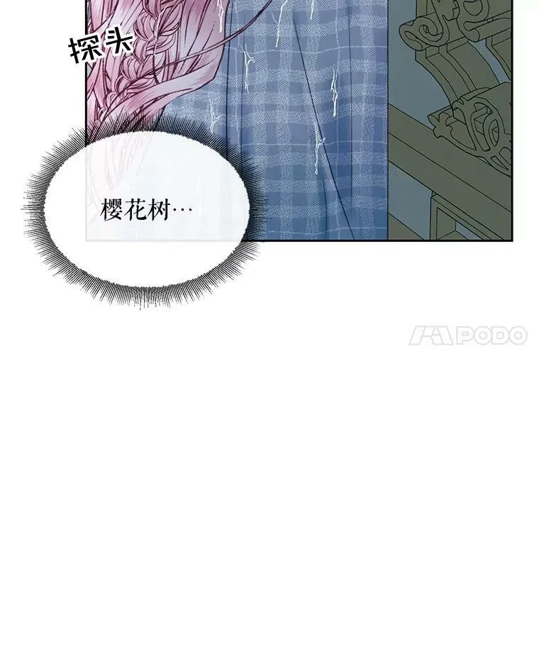 9.樱花树的重生31