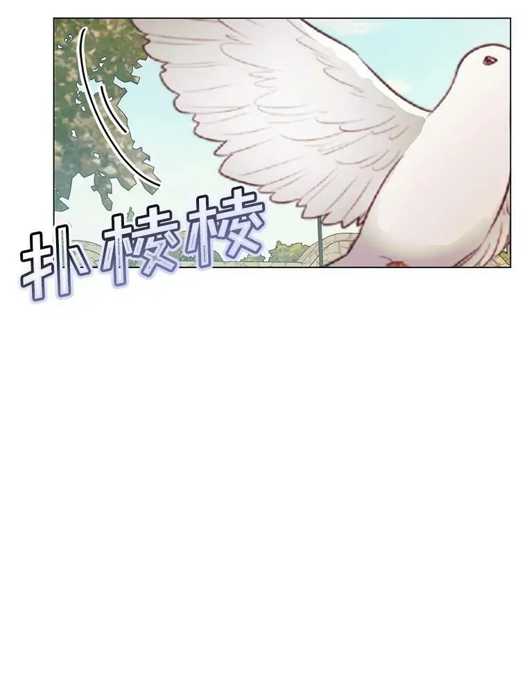 20.包扎21